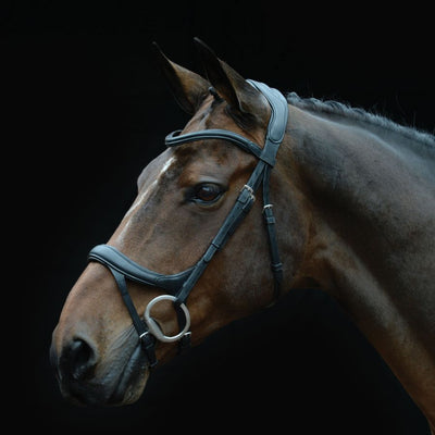 Bridles and strapping