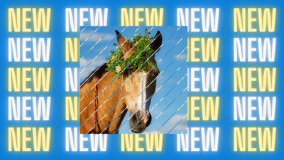 New
