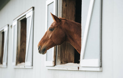 Stable & Field