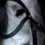 HorseGuard Emi 24.2 bridle with combined noseband, XFULL