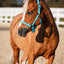 Horse Guard Malva halter "My Best Friend", Pony