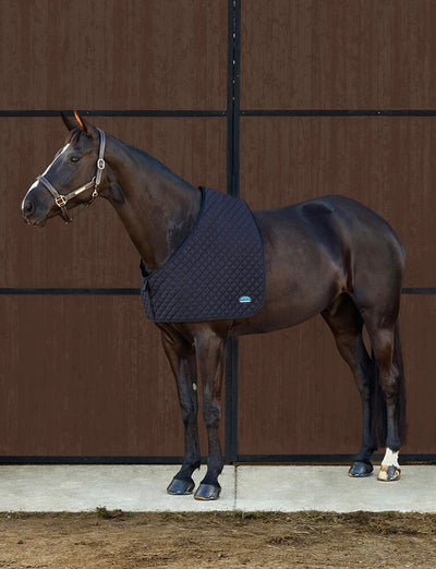 WEATHERBEETA DELUXE SHOULDER GUARD, Navy