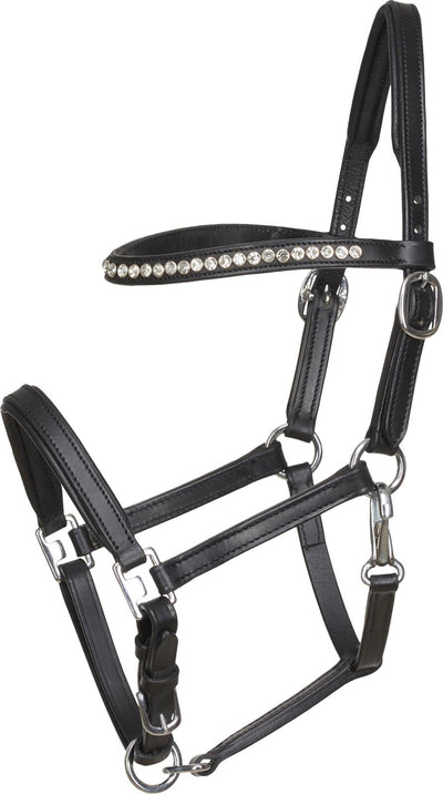 HorseGuard Foal showhalter, Black, YEARLING