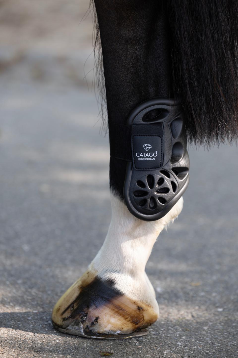 CATAGO Eva fetlock boots Black FULL