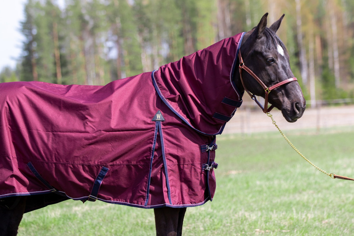 WAHLSTEN DROP 600D + 0G TURNOUT RUG, WINE