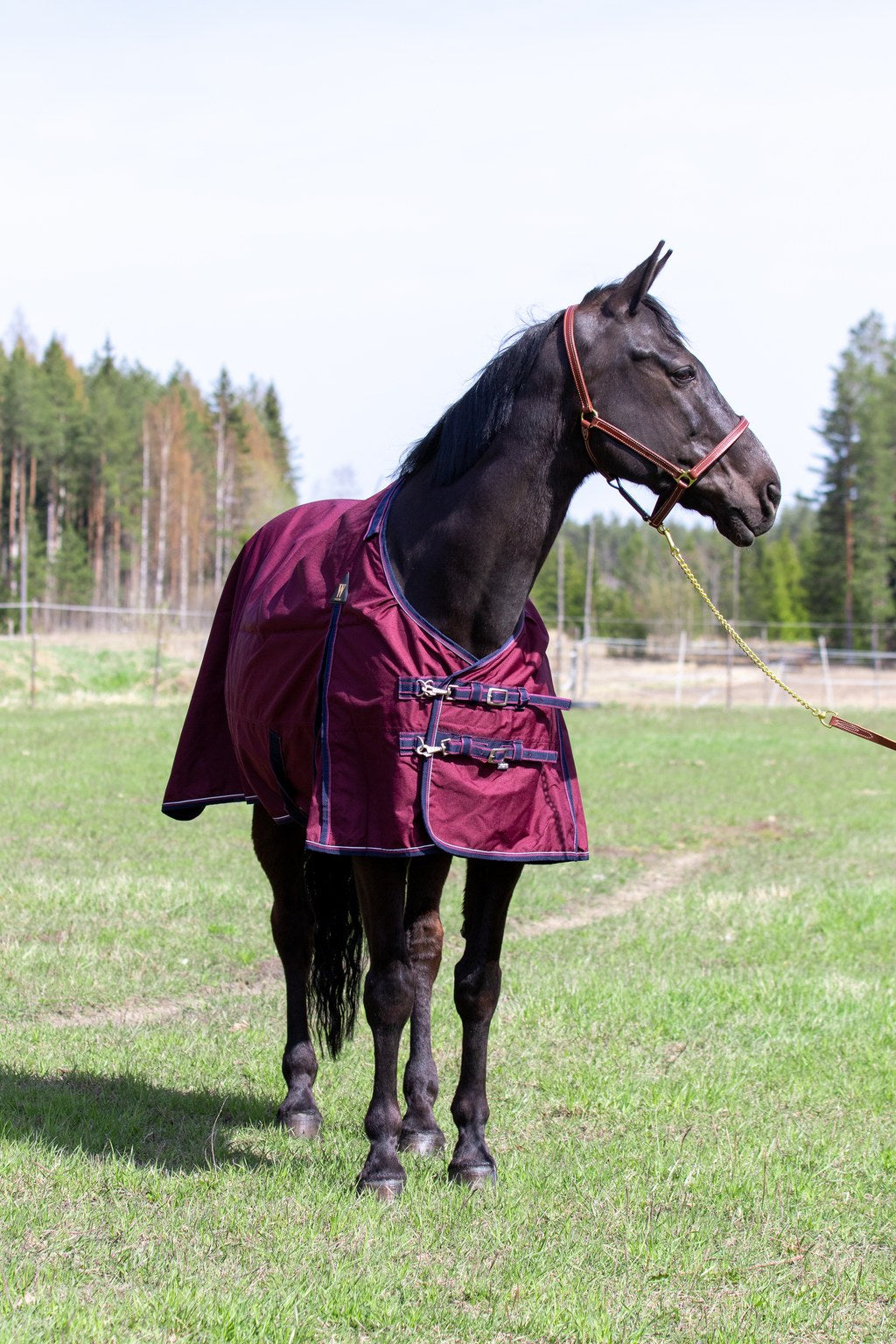 WAHLSTEN DROP 600D + 0G TURNOUT RUG, WINE