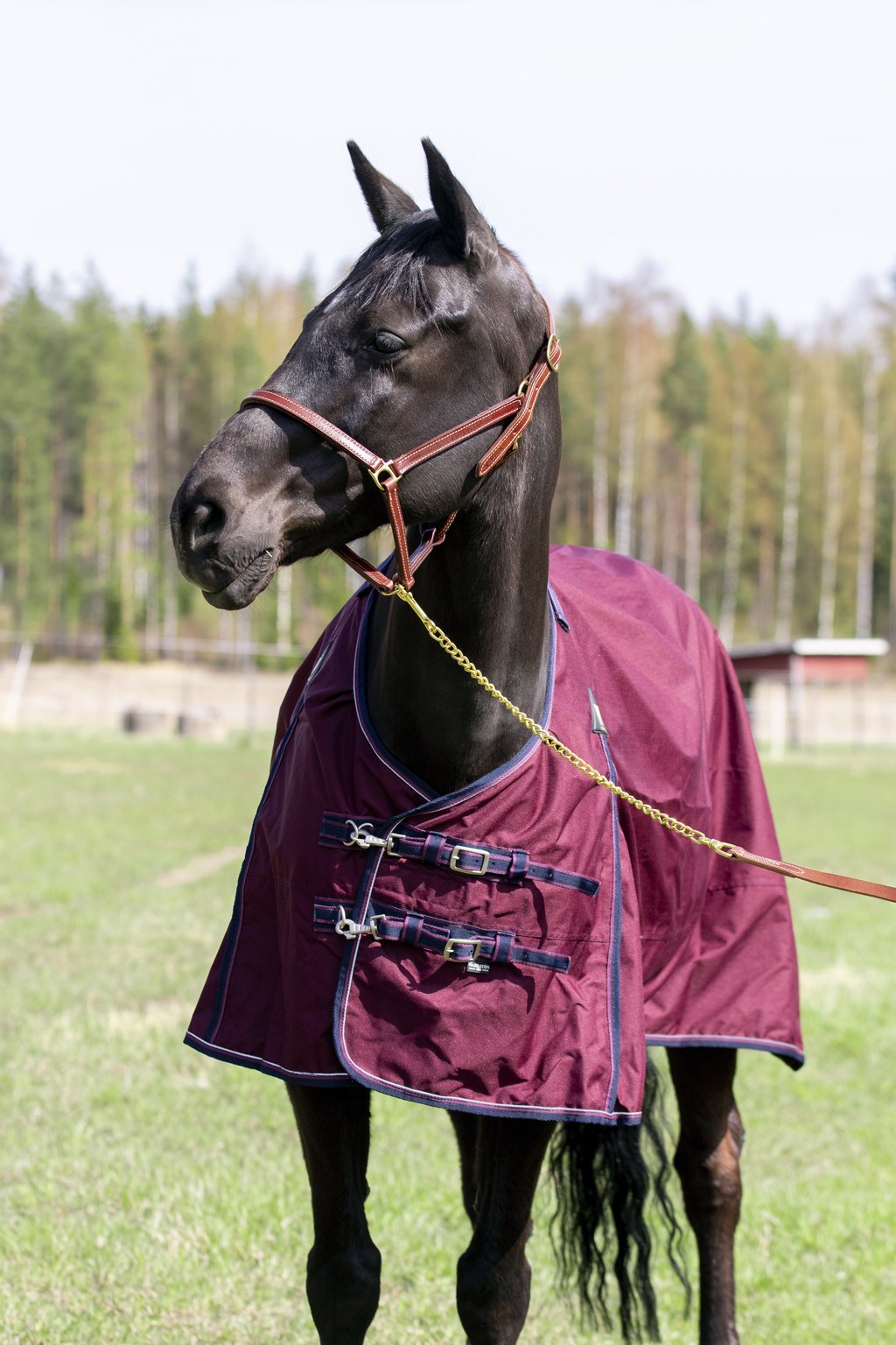 WAHLSTEN DROP 600D + 0G TURNOUT RUG, WINE