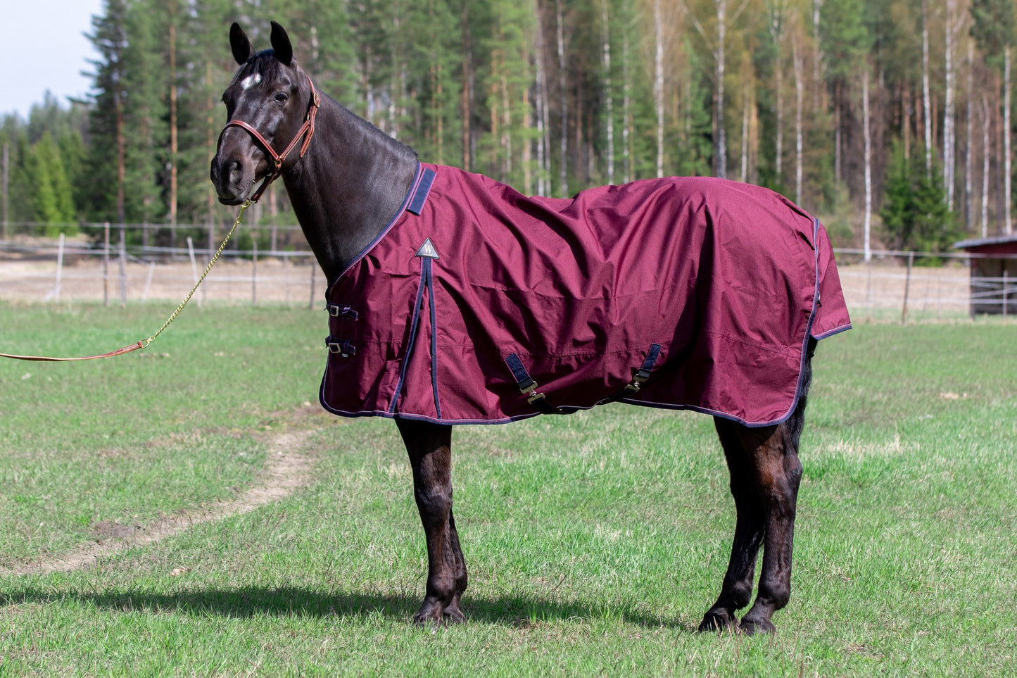 WAHLSTEN DROP 600D + 0G TURNOUT RUG, WINE