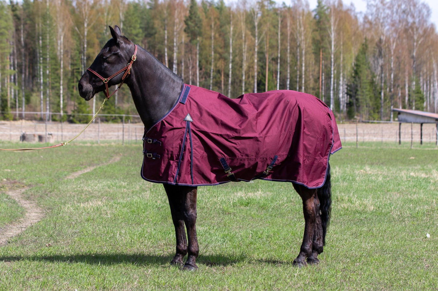 WAHLSTEN DROP 600D + 0G TURNOUT RUG, WINE