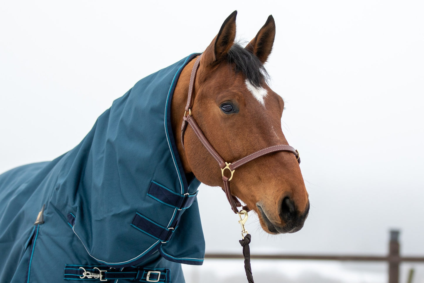 WAHLSTEN WATERFALL 1200D + 50G FULLNECK TURNOUT RUG, PETROL