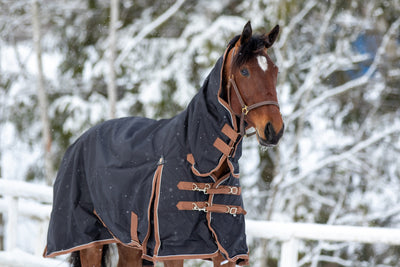 WAHLSTEN FULLRAIN 600D + 100G FULLNECK TURNOUT RUG, BLACK