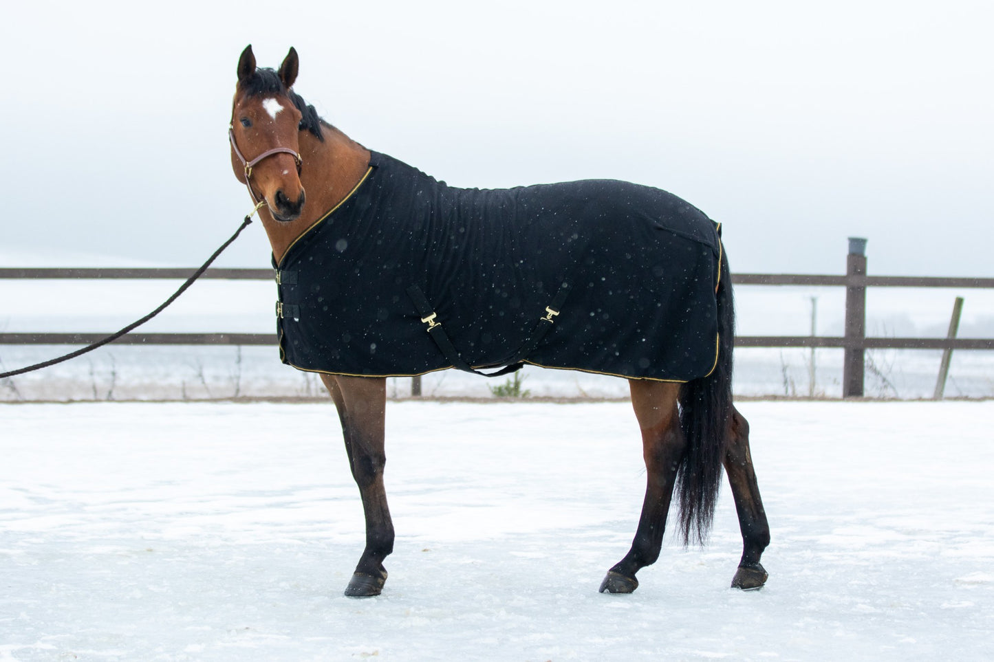 WAHLSTEN FURRY QUICK DRY FLEECE RUG, BLACK