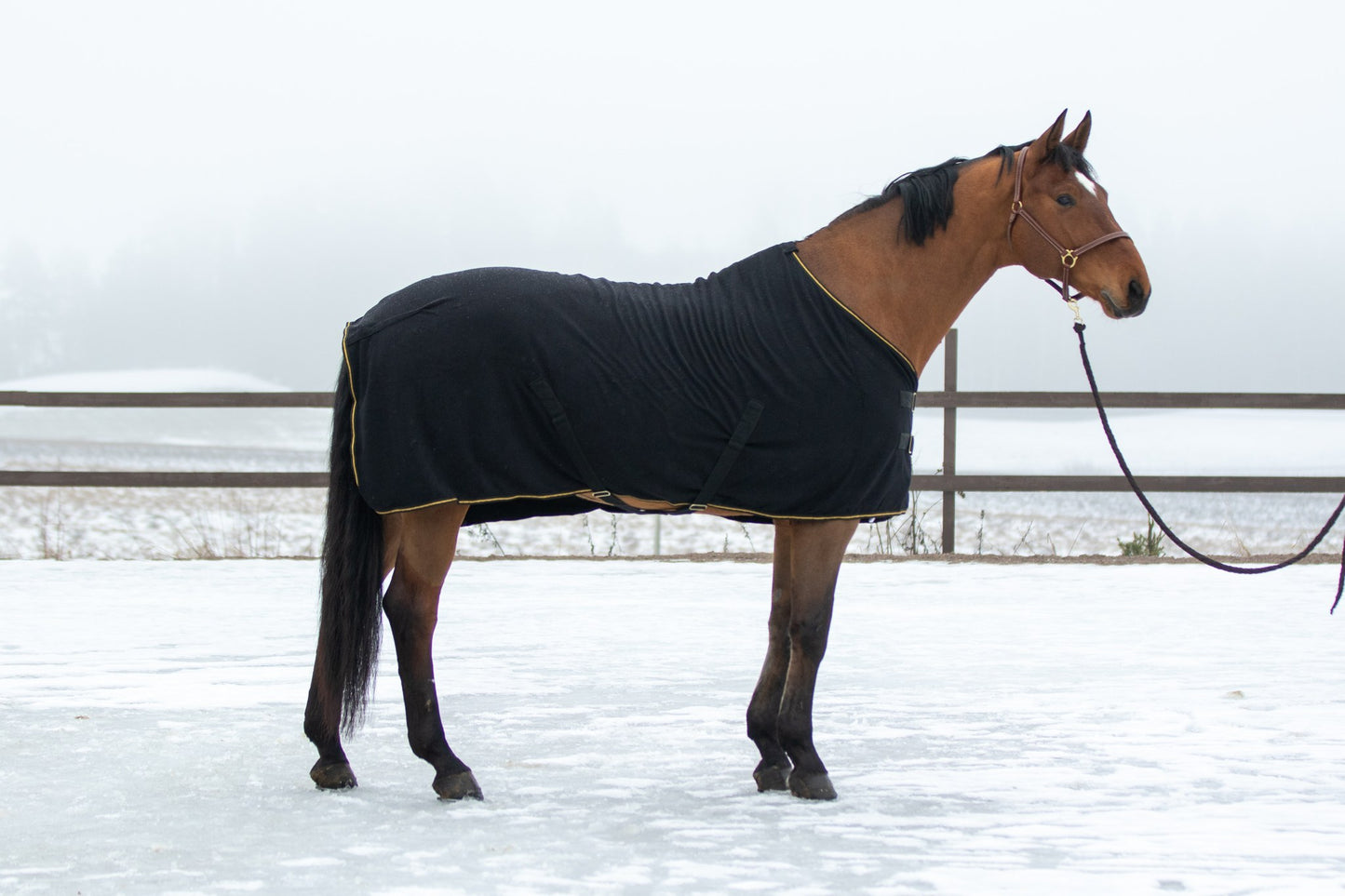 WAHLSTEN FURRY QUICK DRY FLEECE RUG, BLACK