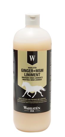 WAHLSTEN GINGER + MSM LINIMENT 1L