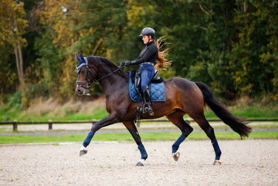 CHARMER DRESSAGE GLITTER SADDLE PAD - SAPPHIRE, FULL