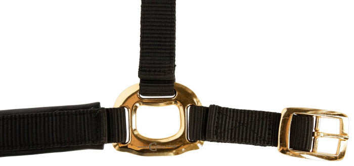 Halter TopLine, black, Cob