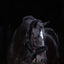 SuperSoft horse halter, black, Covalliero, FULL
