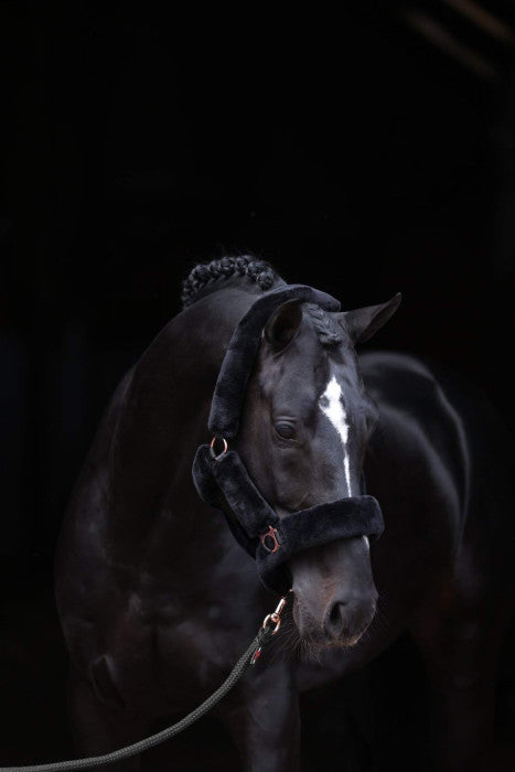 SuperSoft horse halter, black, Covalliero, FULL