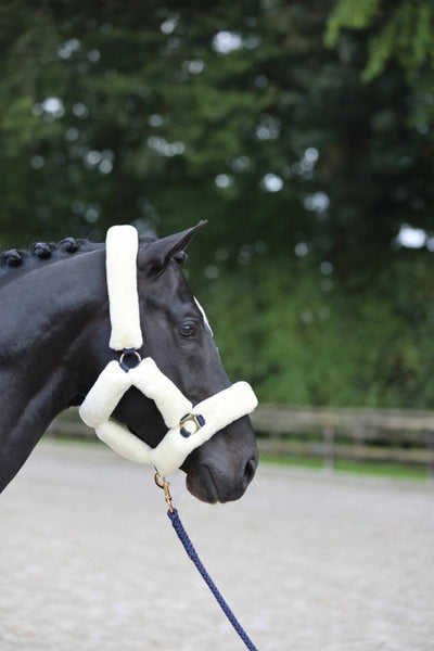 SuperSoft horse halter, white, Covalliero, FULL