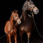 Halter TopLine, black, Cob