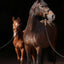Halter TopLine, black, Cob