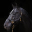 Halter TopLine, black, Cob
