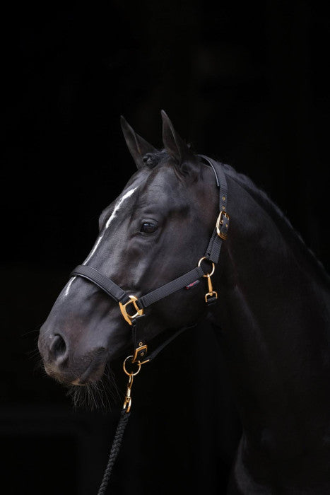 Halter TopLine, black, Cob