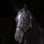Halter TopLine, black, Cob