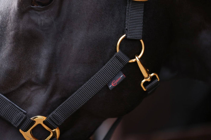 Halter TopLine, black, Cob