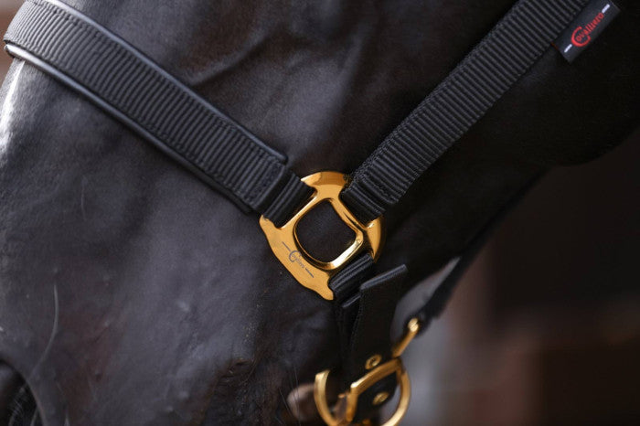 Halter TopLine, black, Cob