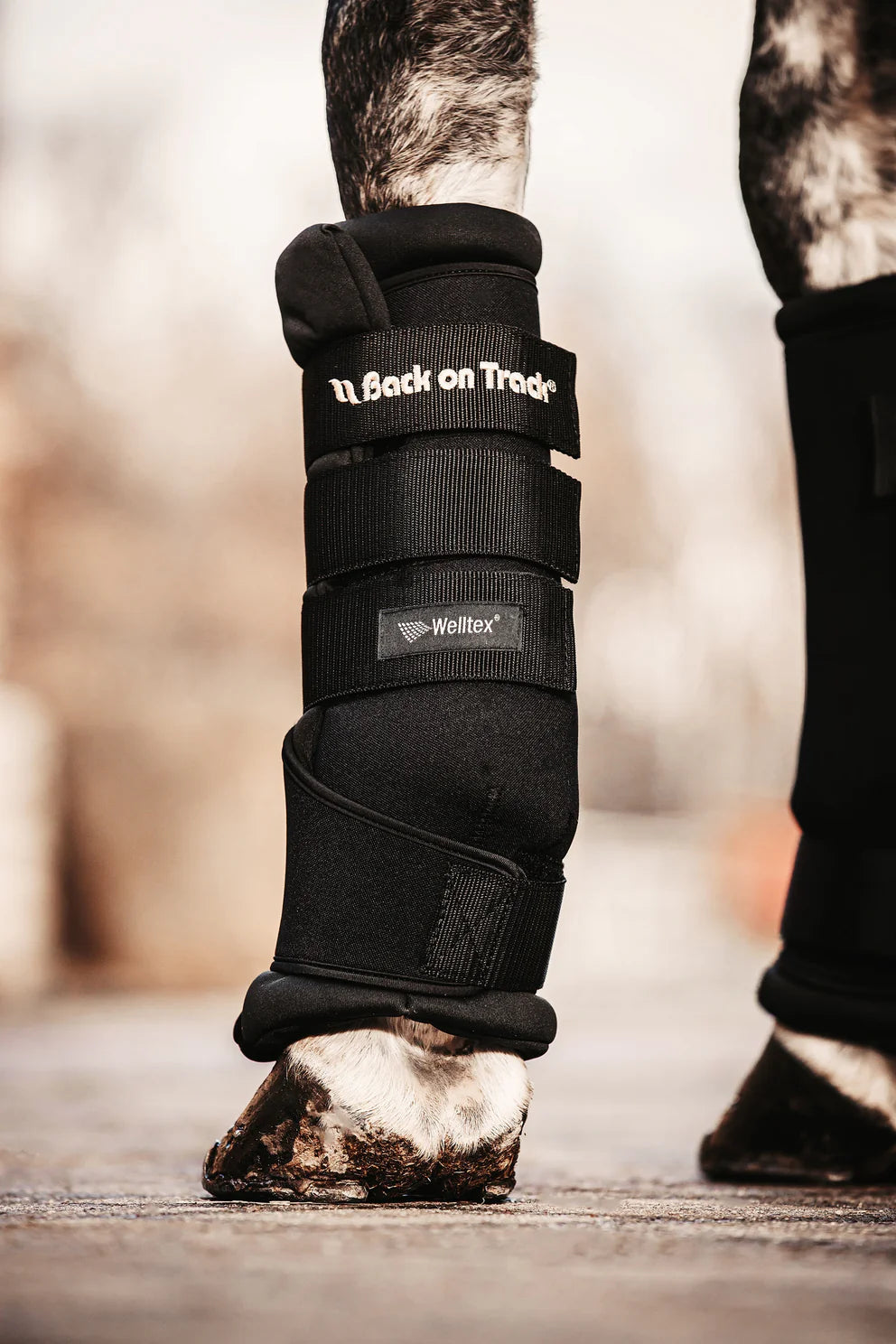 Back On Track ROYAL QUICK WRAPS, PAIR, BLACK