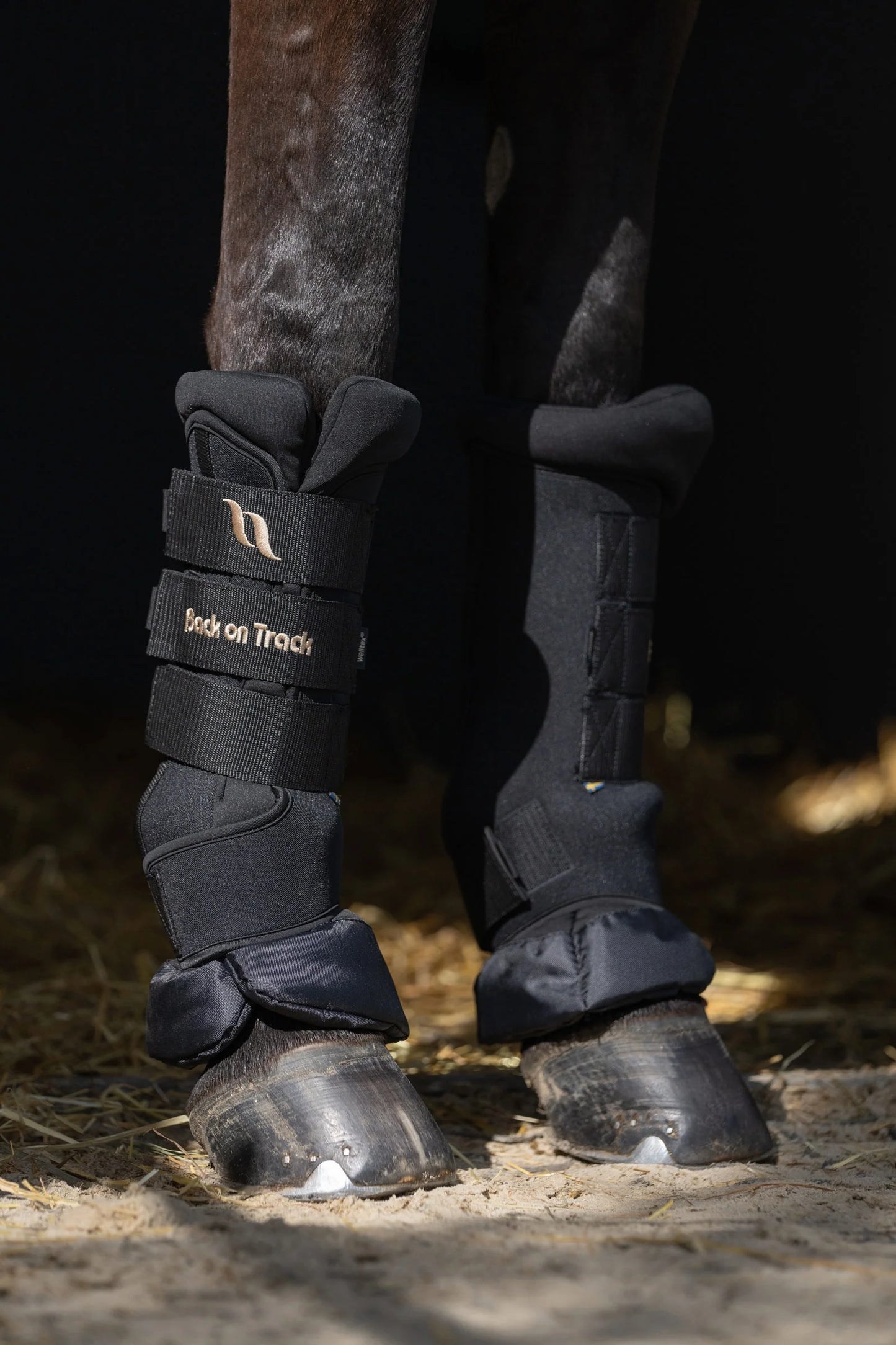 Back On Track ROYAL QUICK WRAPS, PAIR, BLACK
