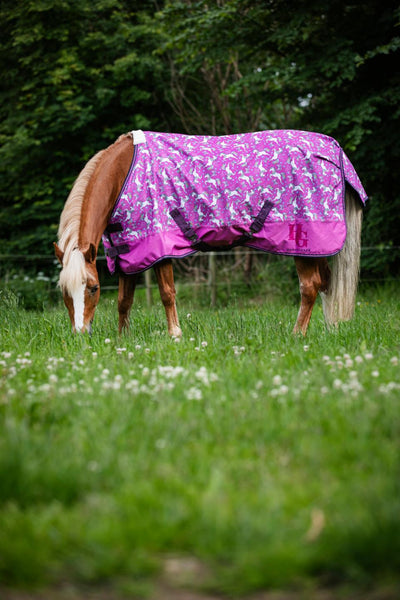 HG Josh pony turnout rug 600D 0g, Phlox Pink 145