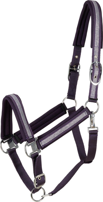 CATAGO Nate halter, COB, plum perfect