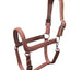 WAHLSTEN PADDOCK NYLON HALTER WITH PADDING