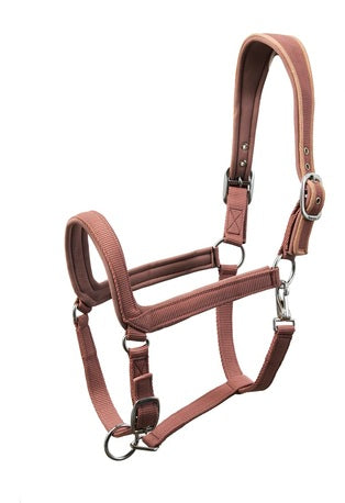 WAHLSTEN PADDOCK NYLON HALTER WITH PADDING