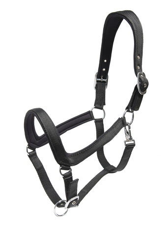 WAHLSTEN PADDOCK NYLON HALTER WITH PADDING