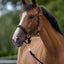 Halter TopLine, black, Cob
