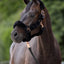 SuperSoft horse halter, black, Covalliero, FULL