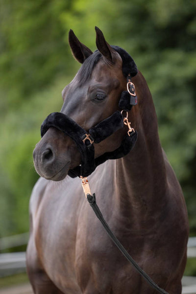 SuperSoft horse halter, black, Covalliero, COB