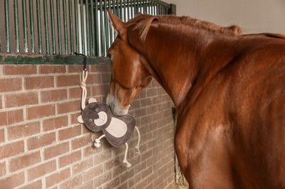 Horse Toy, Bear