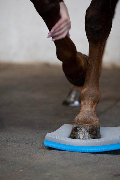 Horse Guard Balance pads, set of 2