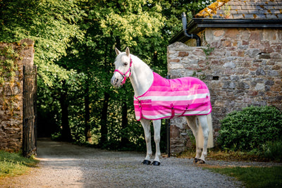 Horseware® Newmarket Headcollar & Lead Rope, size Horse