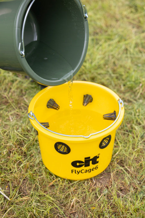 CIT Fly Trap FlyCage6