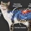 QCHEFS Cat Treat with Activated Charcoal Dental Charcoal 70 g