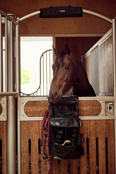 CATAGO Head protector