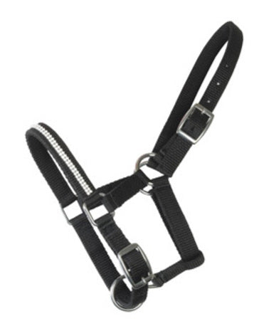 WAHLSTEN CRYSTAL FOAL HALTER, Black