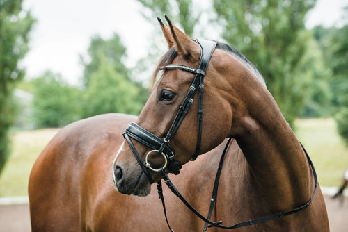 HG Ergo bridle w/pullback, Brown, COB