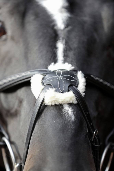 Bridle Cancun black, FULL
