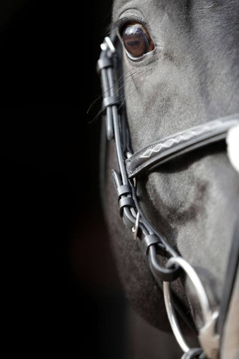 Bridle Cancun black, FULL